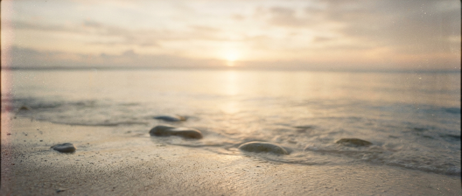 The open sea at first light